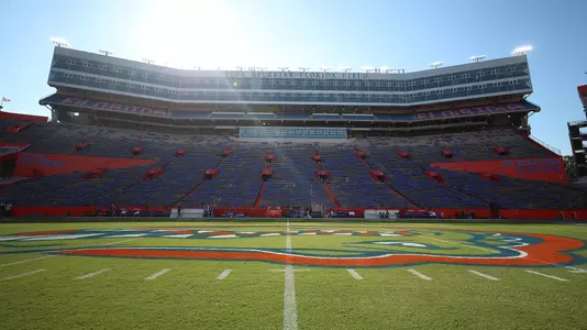 The Swamp