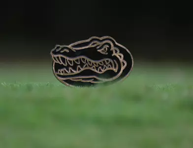 VyStar Credit Union Invitational