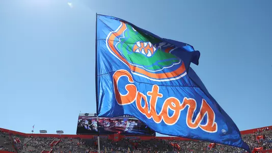 Gators Flag Detail