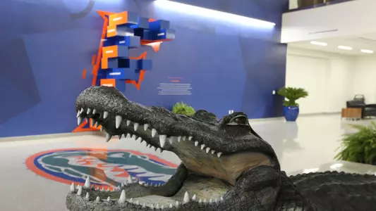 Hawkins Center Gator