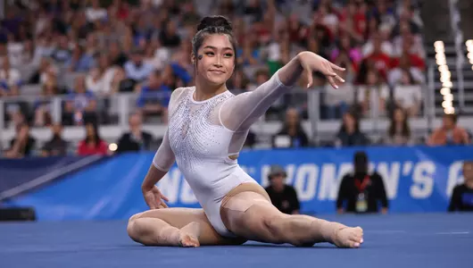 Nguyen - 2023 Floor Exericse