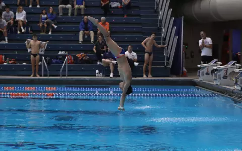 Tennessee Diving Invitiational Preview