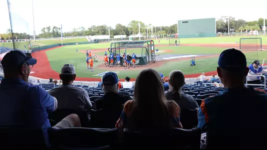 Baseball Fans