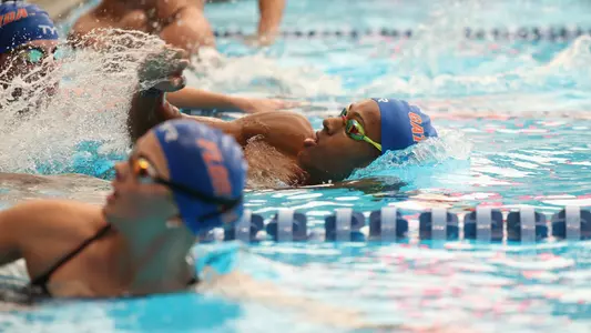 Florida swimming & Diving Georgia Preview