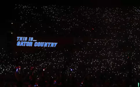 Gators 24, Knights 13