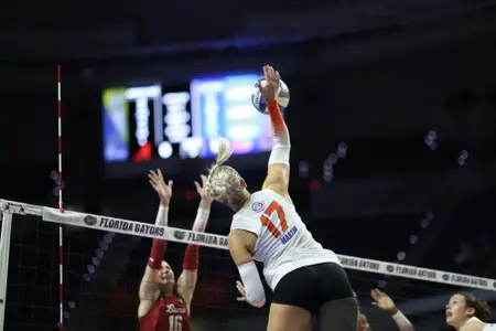 during the Gators' match against the Alabama Crimson Tide on Sunday, November 10, 2024 at Exactech Arena at the Stephen C. O'Connell Center in Gainesville, Fla. / UAA Communications photo by Trenton Bardi