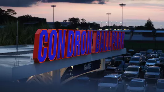 Condron Family Ballpark (detail)