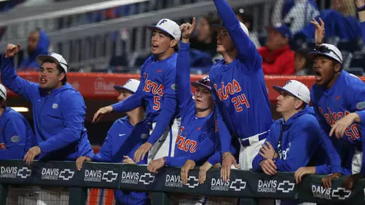 Happy Gators (baseball)