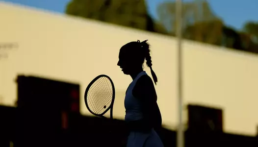 Gators 4, Bulldogs 0