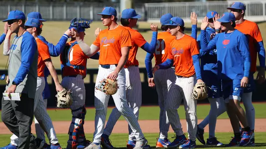 Baseball Team (handshake line)