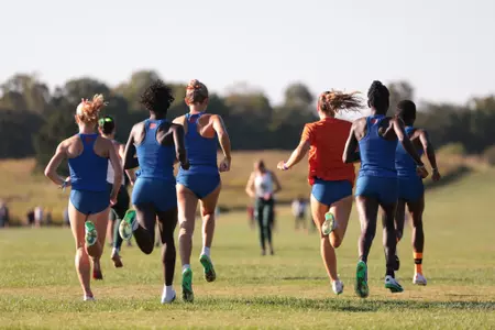 XC Preview