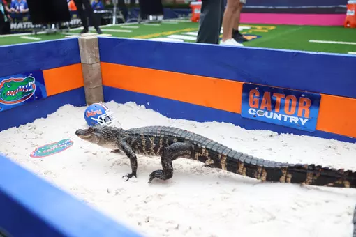 Gators vs. Texas (2025)