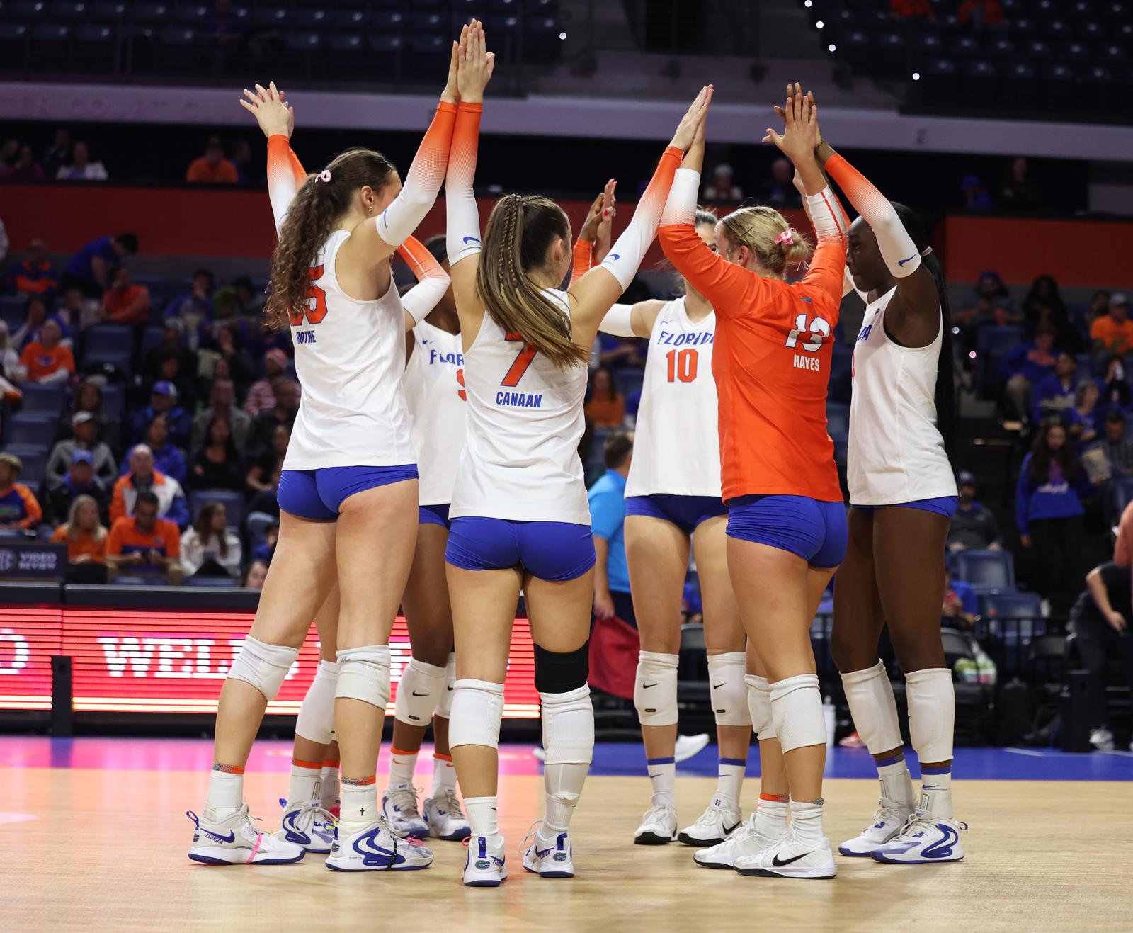 Fall Gator Gators Fall in Three to No. 6 Texas A&M - Florida Gators