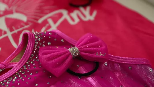 Gators Link to Pink detail 240209