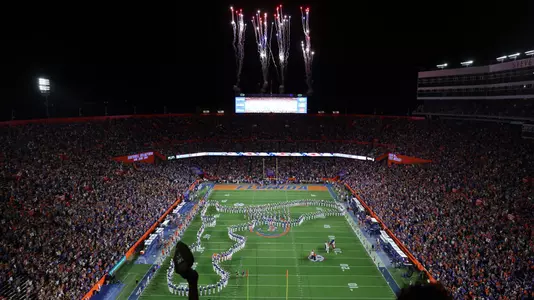 Stadium Crowd Fans Fireworks Homecoming