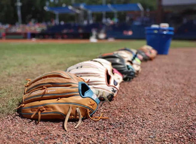 2026 Softball Hitting Clinics