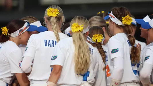 Florida Sunflowers Huddle