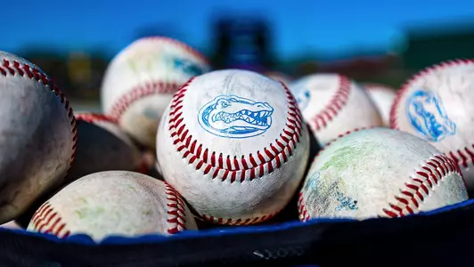 Florida Baseballs