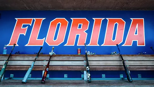 Baseball Dugout