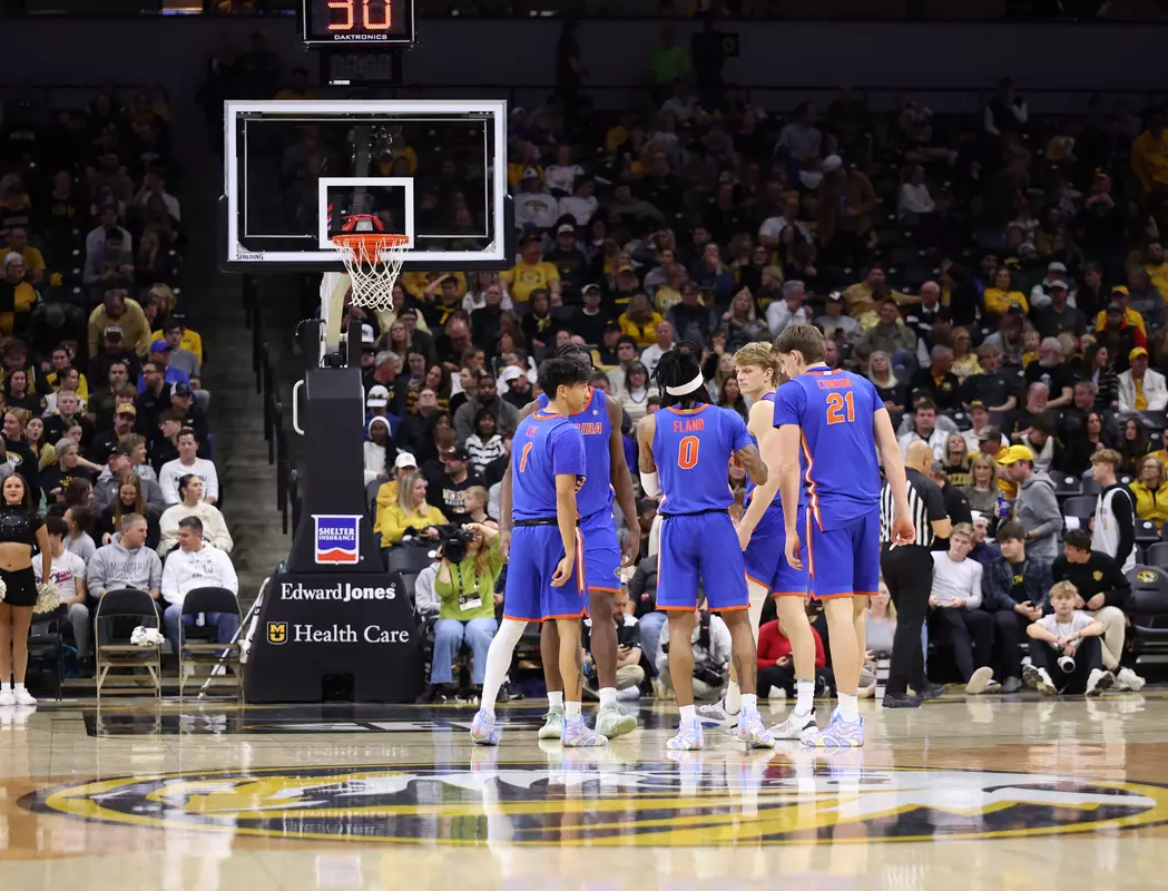 Gators vs. Tigers