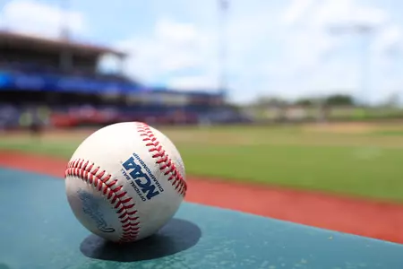 Baseball Detail