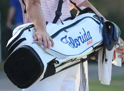 Golf Bag Detail