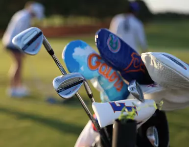 WGOLF Detail