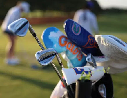 WGOLF Detail
