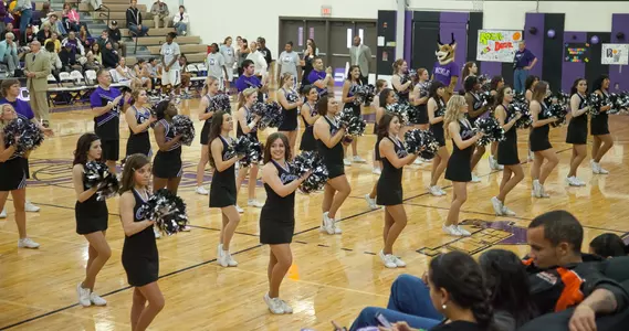 Cheer and Dance Teams