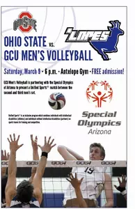 Ohio State Flyer