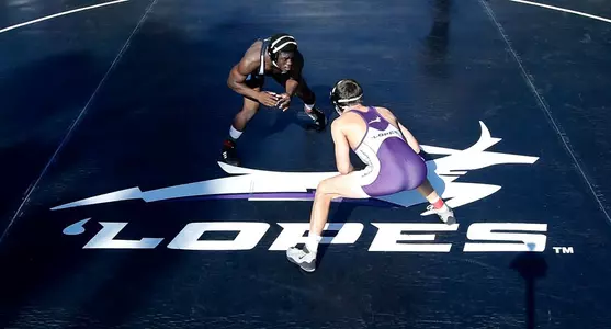 Purple-Black Wrestling