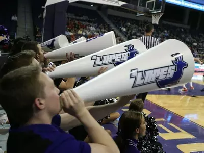 Cheer megaphones-large