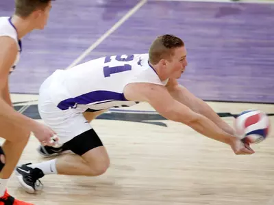 Gerrard lipscombe dig