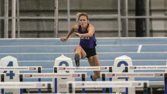 Ashley Krawczuk