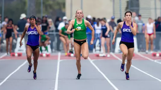 Dora Filipovic Zaire Chest