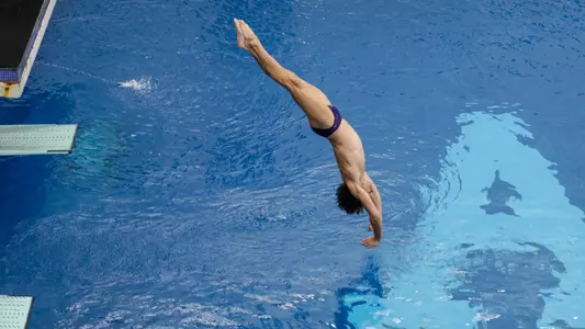 Poole mid-dive