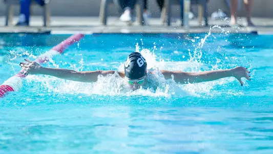 Swimmer mid butterfly