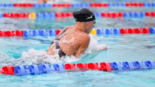 stasny breaststroke