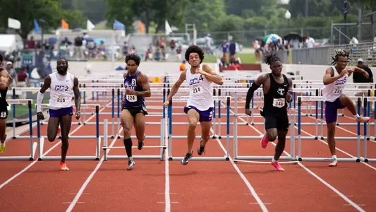 hurdles