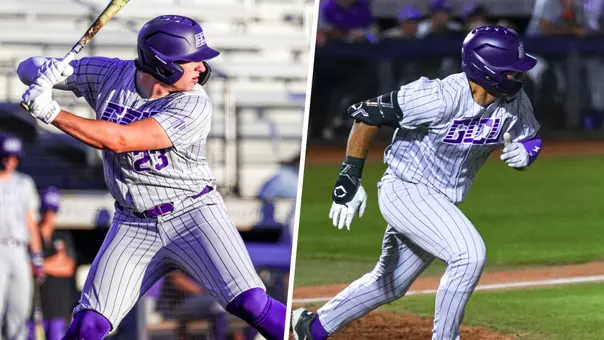 peery schmidt arizona