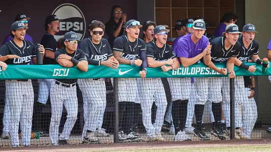 baseball team dugout celebration