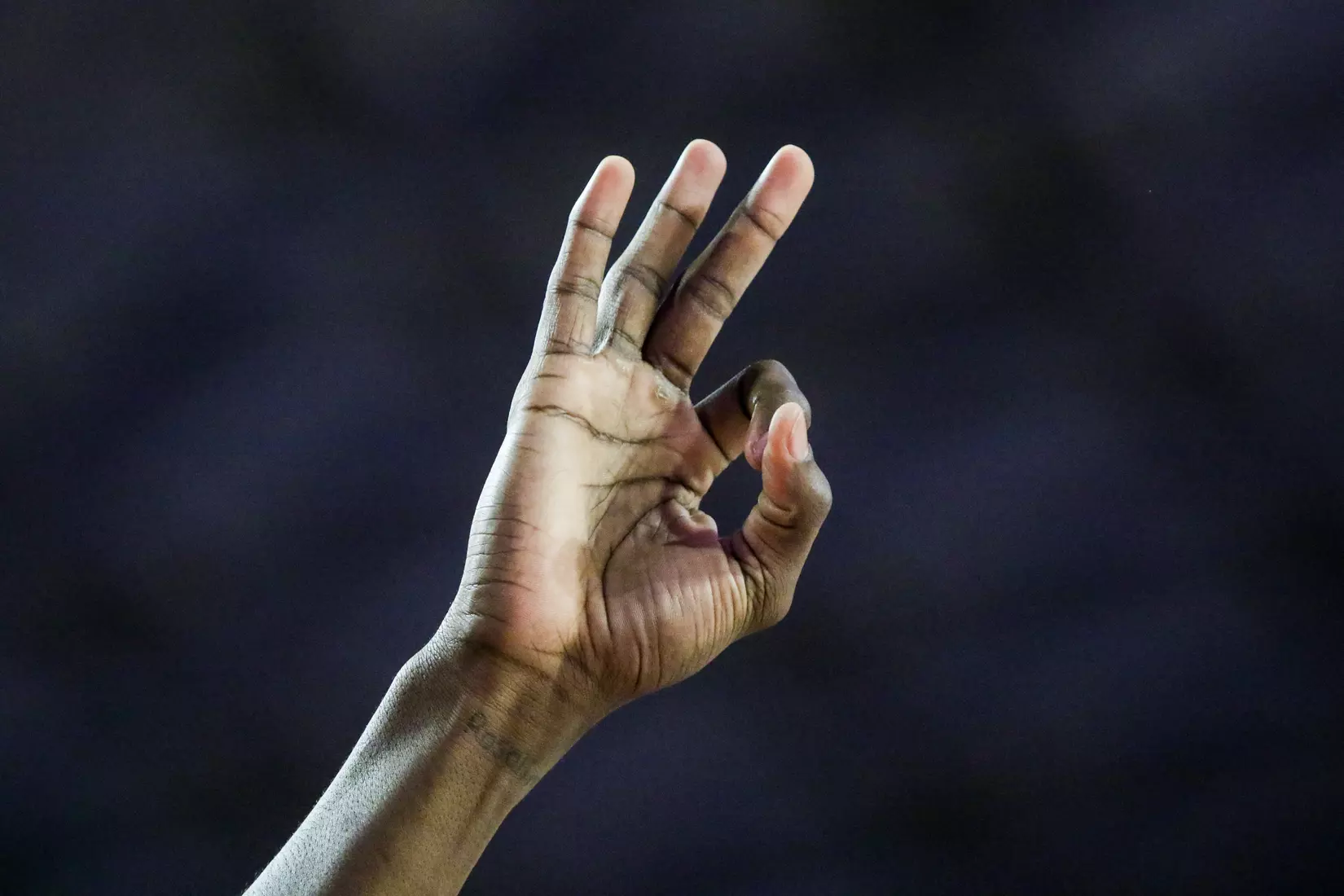 During a game against Western Carolina in Stegeman Coliseum on Tuesday, Nov. 5, 2019. (Photo by Chamberlain Smith)