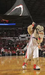 Hairy Dawg