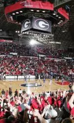 Stegeman Coliseum