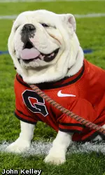 Uga VIII