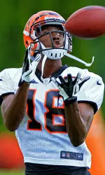 A.J. Green, Cincinnati