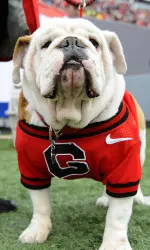 Russ has been promoted to Uga IX.