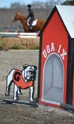 Georgia Equestrian