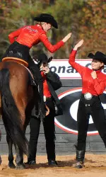 Georgia Equestrian