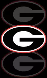 UGA finished No. 14 in the Directors' Cup this season.